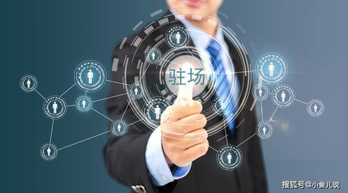 軟件人員外包 企業(yè)數(shù)字化轉型的明智選擇