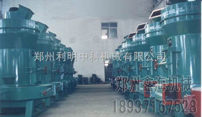 湖南雷蒙磨 質高價優獲客戶滿分好評，閃耀中國環保設備展覽網